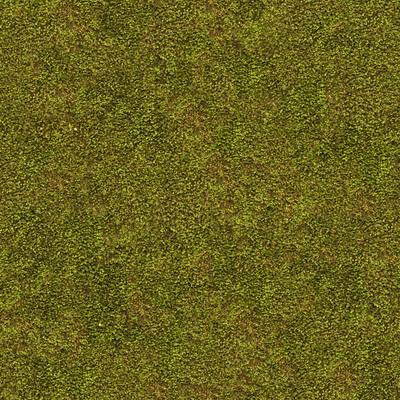 C草皮_0001 (3)_2324eb7d83c1.jpg